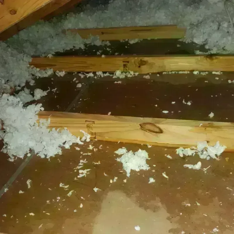 Attic Water Damage in Lindenhurst, IL